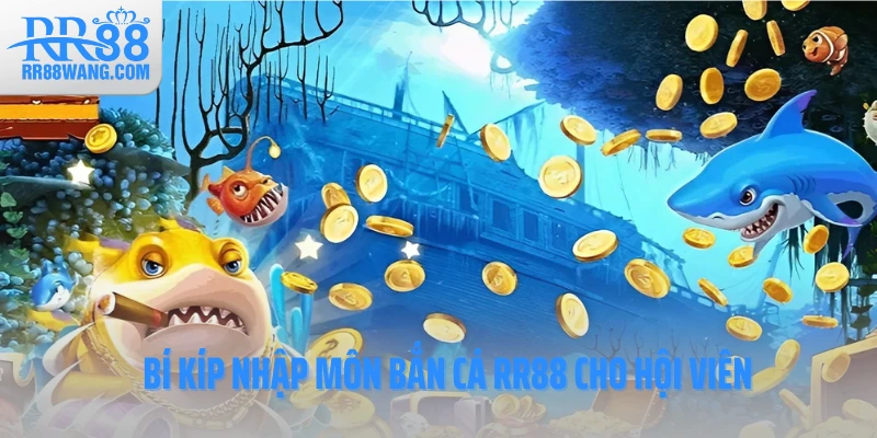 Bí kíp nhập môn bắn cá RR88 cho hội viên Bí kíp nhập môn bắn cá RR88 cho hội viên